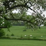 Limbourg Nature Retreat 別荘 Hèvremont