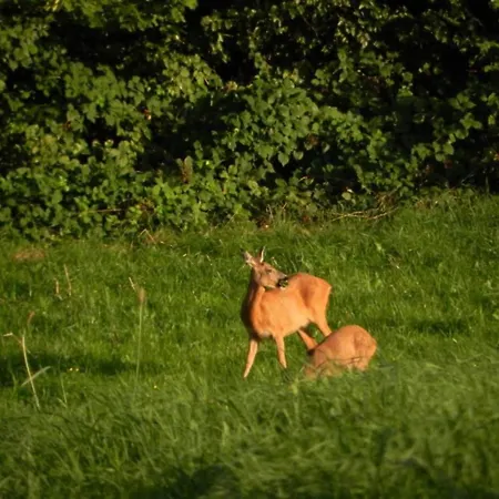 度假居 Limbourg Nature Retreat *