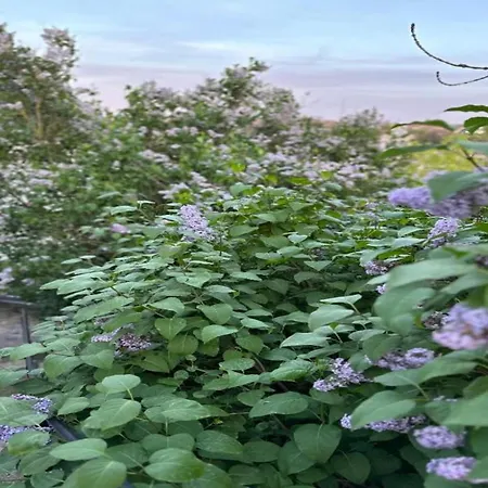 Limbourg Nature Retreat Hevremont