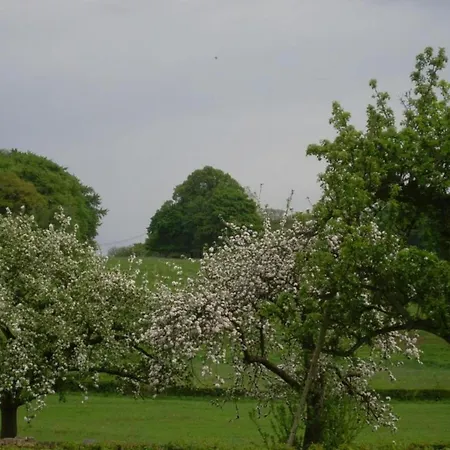 Limbourg Nature Retreat 度假居